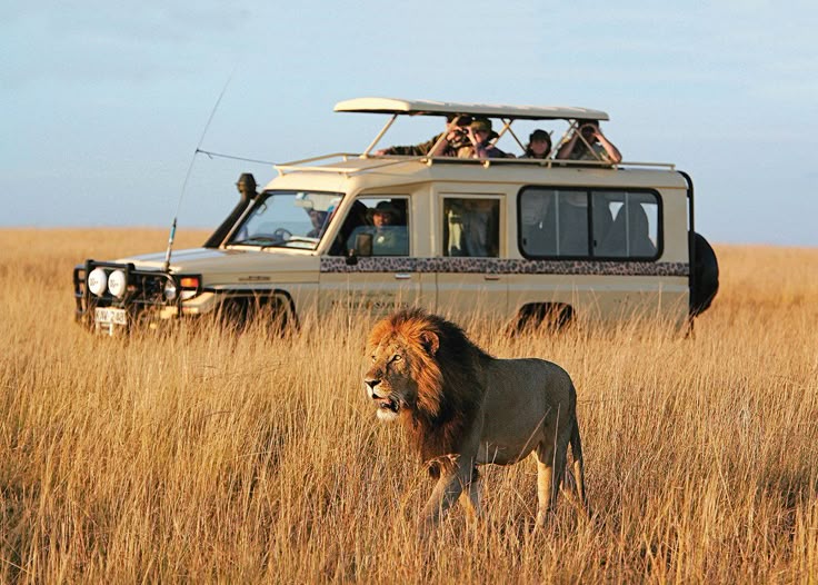 14-days-kenya-tanzani-safari-tour