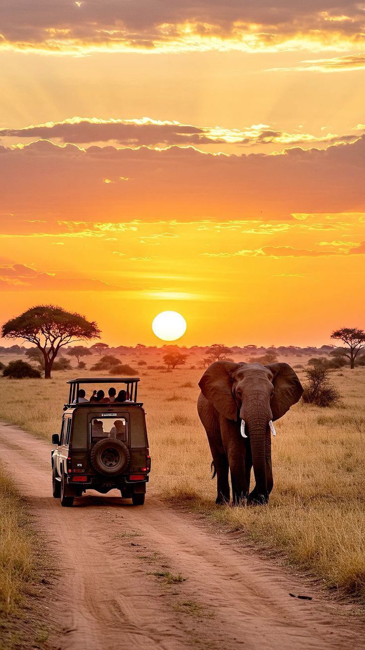ke-tz-7-days-amboseli-lake-manyara-serengeti-ngorongoro