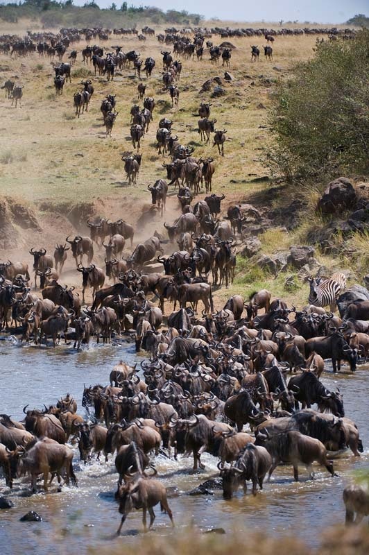 tz-6-days-lake-manyara-serengeti-ngorongoro-tarangire-or-lake-eyasi-ex-arush