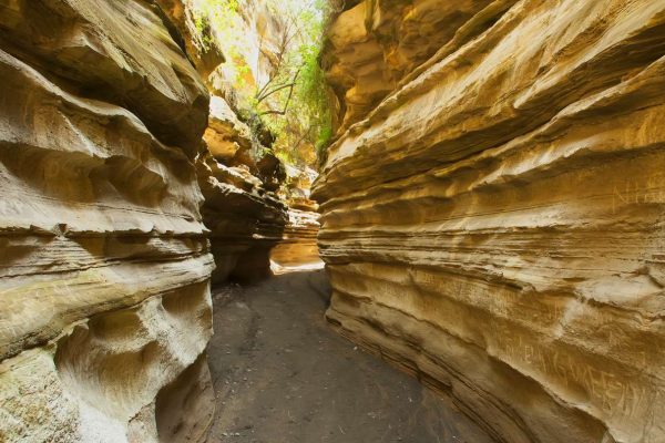hells-gate-national-park