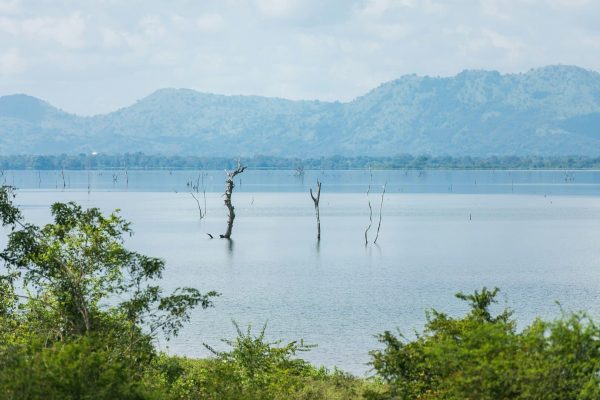 lake-naivasha-kenya-attraction-sites