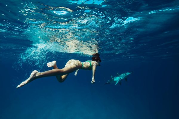 wasini-dolphin-trip